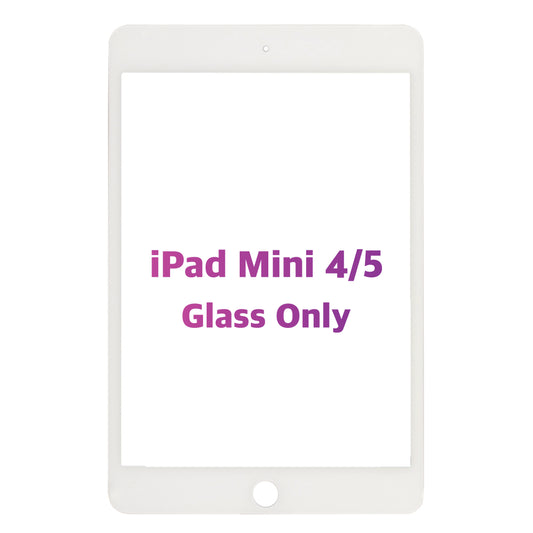 iPad Mini 4/5 Glass Only (White)